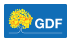 Federal District Government