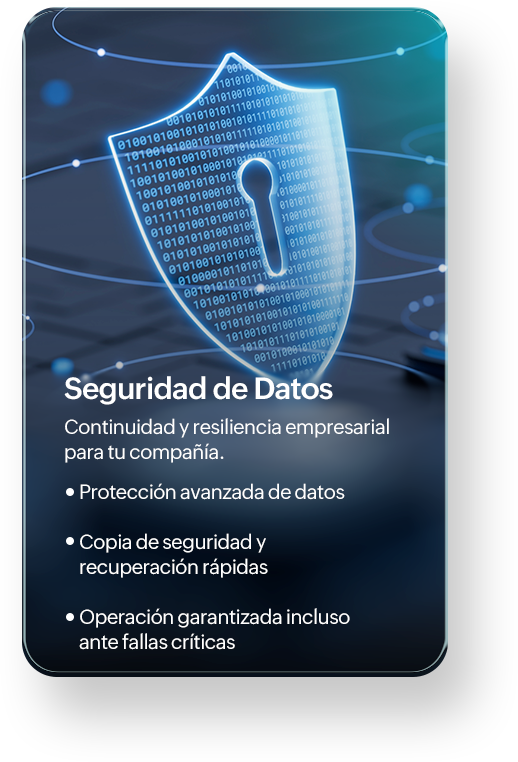 Seguridad Cibernetica Central IT - Seguridad de datos - es